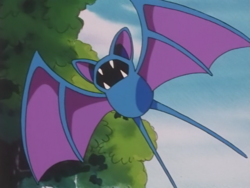 Brock Zubat.png