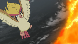 Mega Island Pidgeot.png