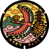 Poké Lid 159 Kyoto.png