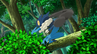 Sanpei Frogadier Smokescreen.png