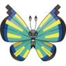 0666Vivillon-Savanna.png