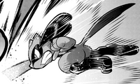 Ash Riolu Reversal JNM.png