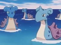 Ash's Lapras's mother