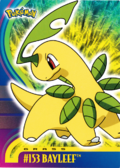 Topps Johto 1 02.png