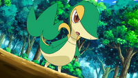 Trip's Snivy