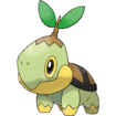 Turtwig