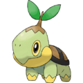 Turtwig of the Sinnoh region