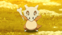 Goh Cubone.png