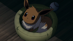 Neva Tanner Eevee.png