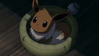 Neva and Tanner's Eevee