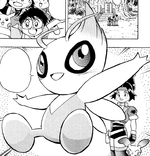 Solana Celebi AP.png