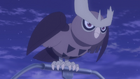 Rising Volt Tacklers's Noctowl