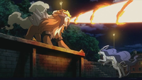 Entei Overheat.png