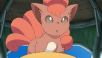 Samson's Vulpix