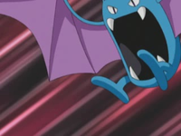 Tabitha's Golbat