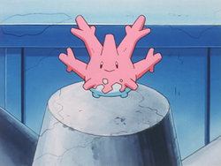 Bluefinland Corsola.png