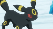 Gary's Umbreon