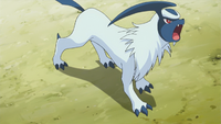 Magnus's Absol