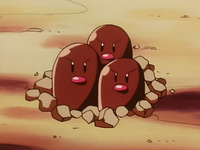 Poncho's Dugtrio