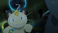 Meowth's tail error