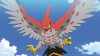 Ash's Talonflame