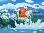 Cremini Town Magikarp.png