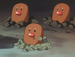 Diglett Village Diglett.png