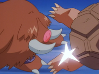 Pryce Piloswine Fury Attack.png