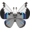 0666Vivillon-Monsoon.png