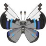 0666Vivillon-Monsoon.png