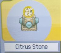 Citrus Stone (Pokemon Ranger).jpg