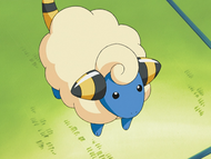 Katie Mareep.png