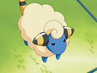 Katie's Mareep