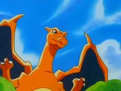 Pokémon Land Charizard.png