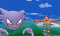 Haunter and a new bird Pokémon