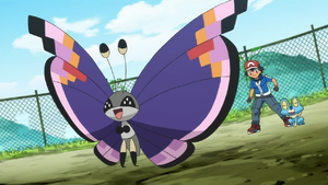 Elegant Vivillon anime.png