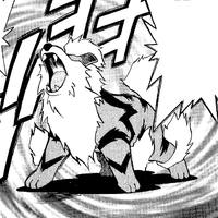 Kenta's Arcanine