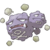 0110Weezing.png