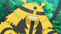 Viren's Electivire