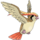 Pidgeot