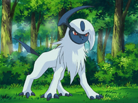 Drew's Absol