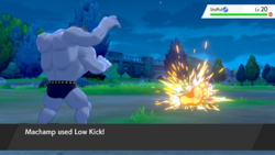 Low Kick VIII.png