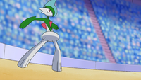 Zoey's Gallade