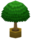 Big Plant VI.png