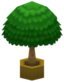 Big Plant VI.png