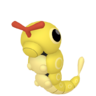 Caterpie