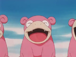 Slowpoke Rain Dance.png