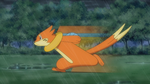 Ash Buizel Swift Swim.png