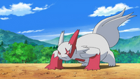 Crimson's Zangoose