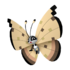 Vivillon